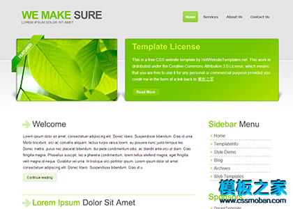 唯美绿色树叶漂亮的博客CSS模板