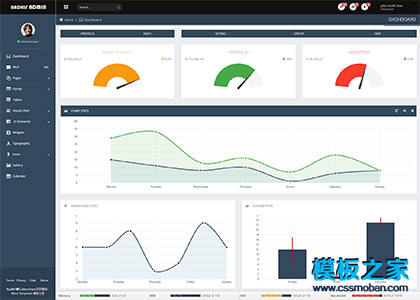 二栏漂亮的admin后台系统模板下载