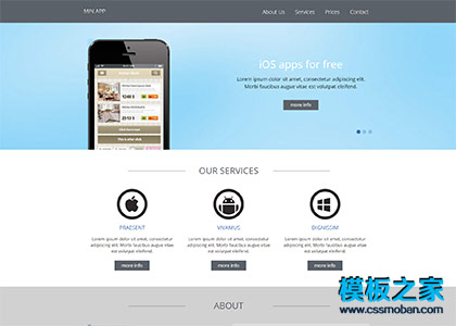 iOS apps应用开发企业网站模板