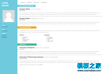 简洁侧栏技术工程师web简历模板下载