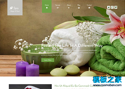 绿色简洁sap养生会所html5模板