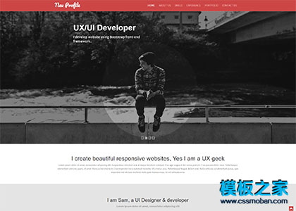 UX/UI Developer开发者web简历模板