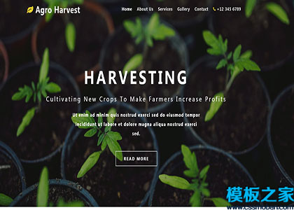 Agro Harvest宽屏绿色植物盆栽创新html模板