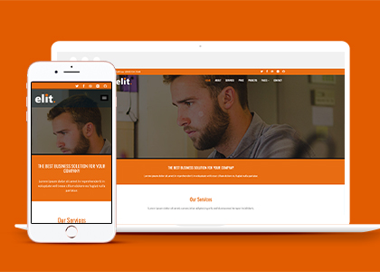 Elite精英橙色自动换屏多用途引导式网站模板