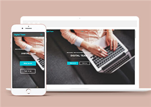 简洁数字团队服务展示响应式网页模板下载