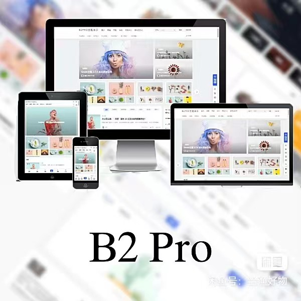 WordPress B2 PRO主题主题模板5.2.0开心版